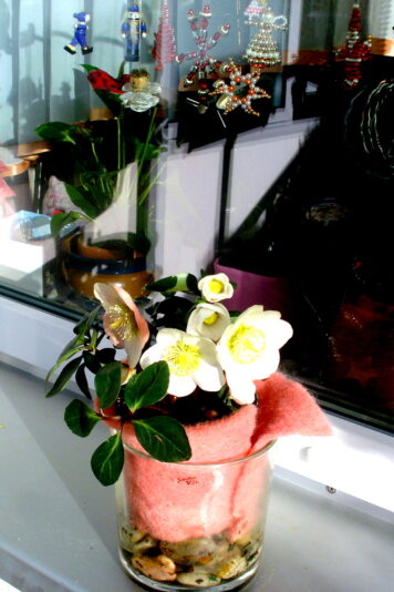 DSC06350-001