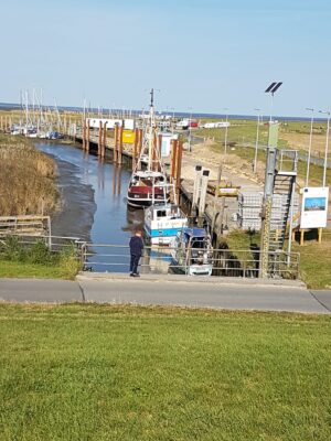 IMG-20220906-WA0000