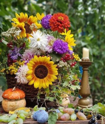 245076080_3027926350778495_5810313603601979897_n