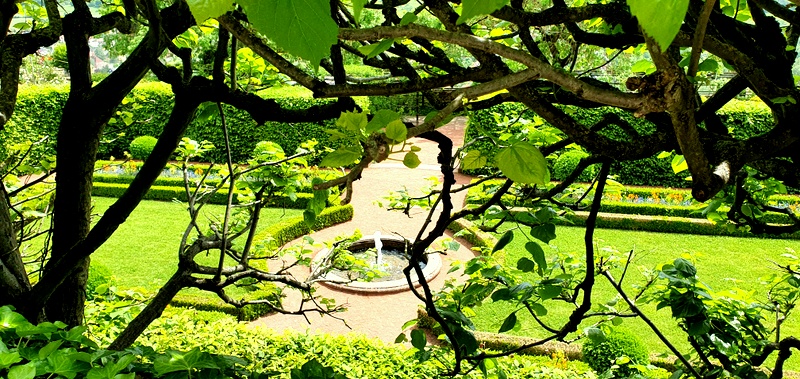 Blick in den Park.
