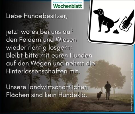 bayern hunde
