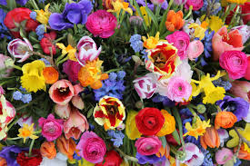 images (17)