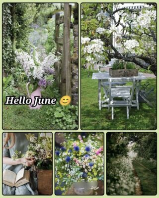 502413978_4187580571525563_7889917637065200073_n