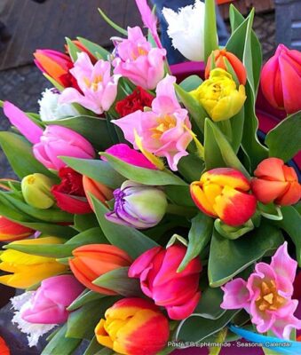 157150386_4021095601273839_4850800122288051586_n