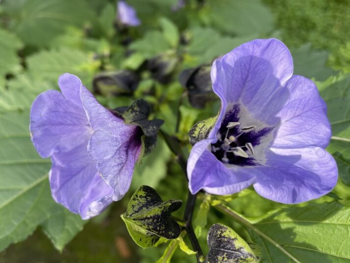 928BD340-F6E0-4E6B-ABA5-52537203B3F2