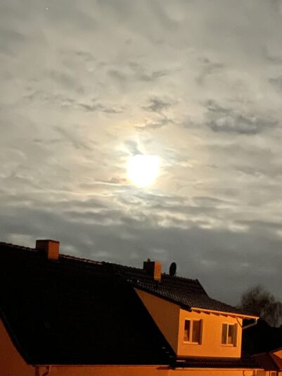 D4C62531-29E8-4A1C-8D93-8865F762C926