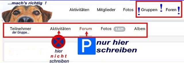 Forenbeitraege