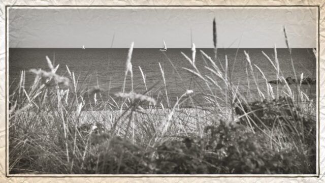 _DSC1916_HDR