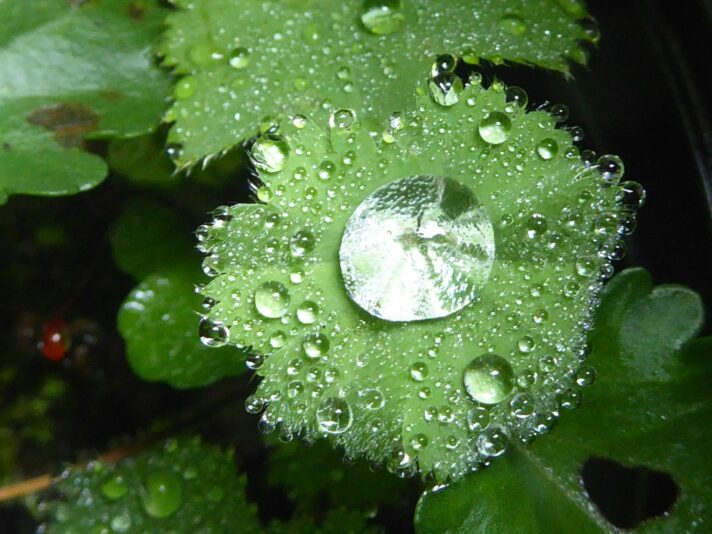 6.8.2022 bis 14 Vögel (149)