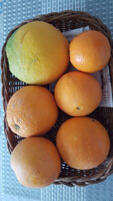 IMG-20230122-WA0000