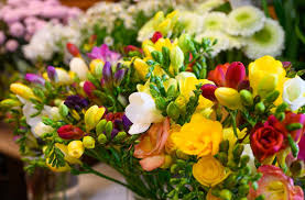 images (3)