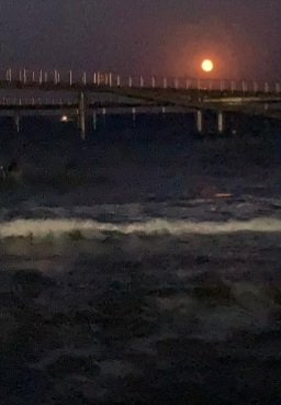 Screenshot_20240921_100850_WhatsApp