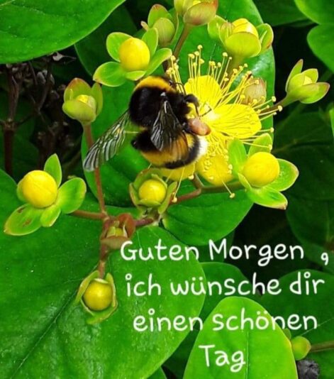 434145713_2189686724696770_7435574744168994011_n