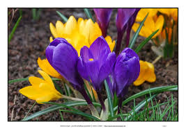 images (3)