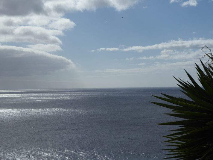 1.12.2021 auf der Blumeninsel Madera (291)