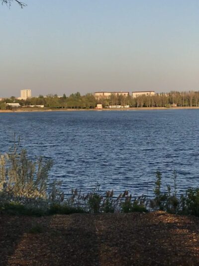 2020-04-22 19.25.09-2