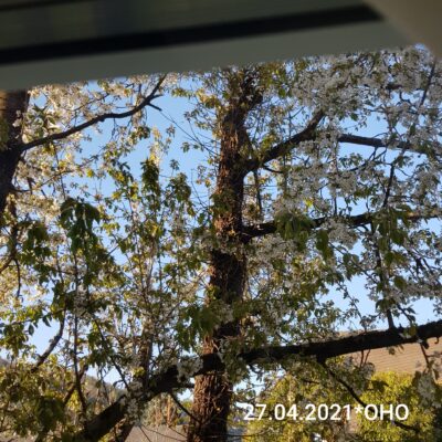 20210427_190345
