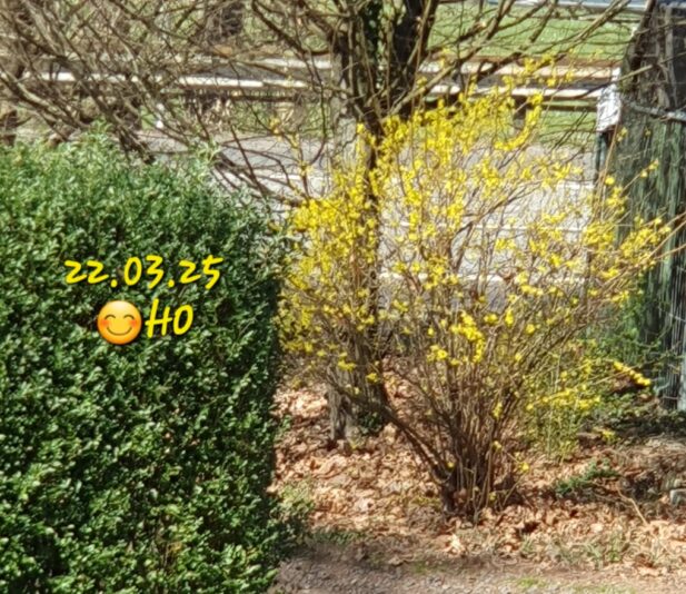 20250322_130805