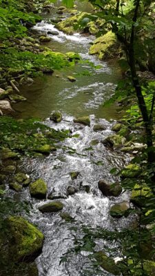 IMG-20230616-WA0000