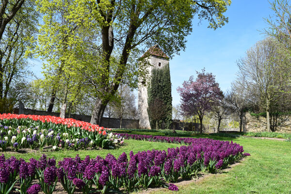 Arboretum_2018