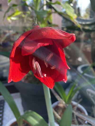 18DF2E1A-4AD2-4336-9C3F-CB0F3FF4B7DC