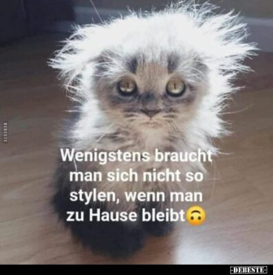 C7D36901-74BF-402D-BD51-54643C2E7080