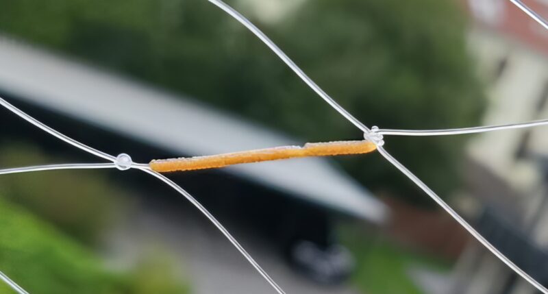 -5445018667692706915_121-topaz-enhance-3.6x-sharpen