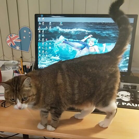 home office