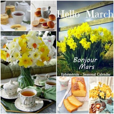 156150722_4010792258970840_5659431654735809222_n