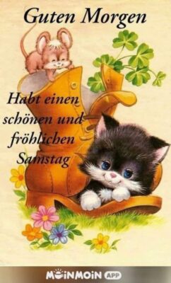 497925619_2470463726643427_2051847191692121081_n