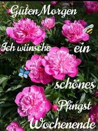 images (66)