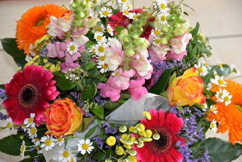 flowers-1288034_960_720