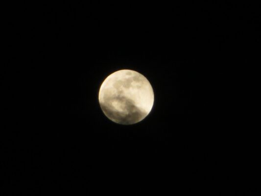 IMG_8903