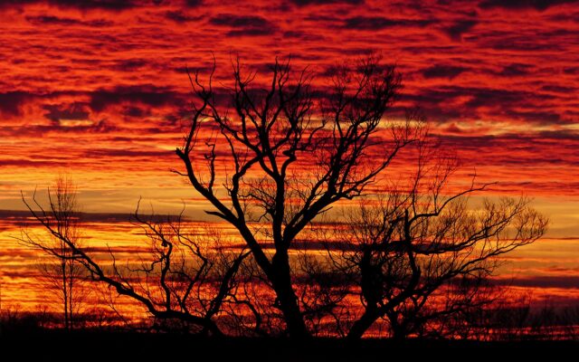 3839-himmel-wie-aus-afrika-1