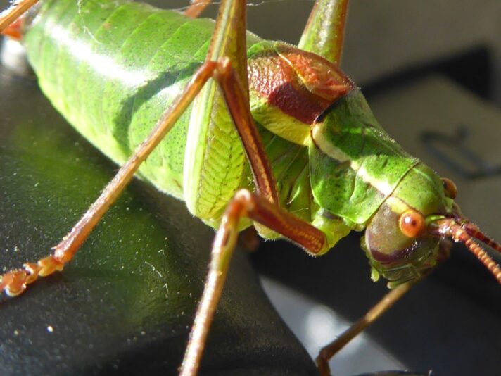 19. bis 23 7.2021 (59)