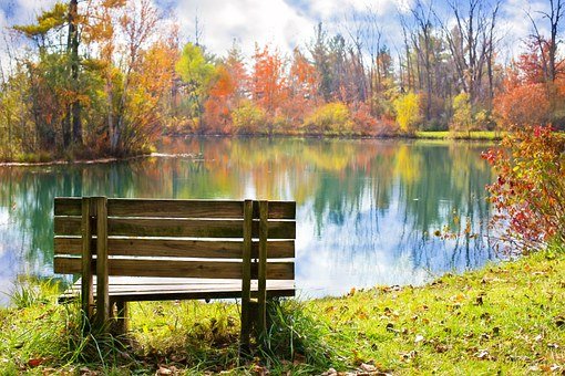 wood-bench-986347__340