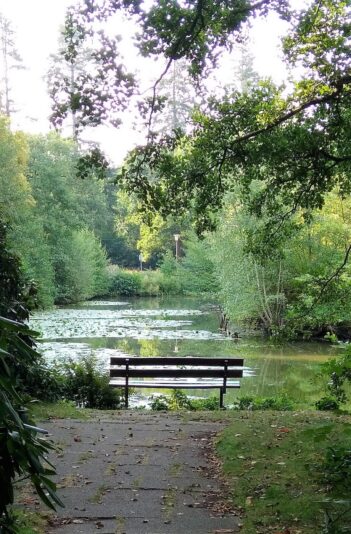 2022-08-26 Bank Ohlsdorf