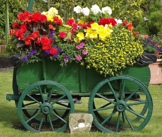 Kleingärten 23.9 (1)