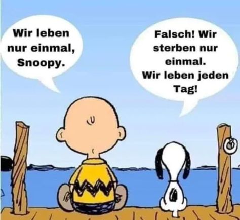 d7d389078fd7f5cc2721f518f5cf1cd5