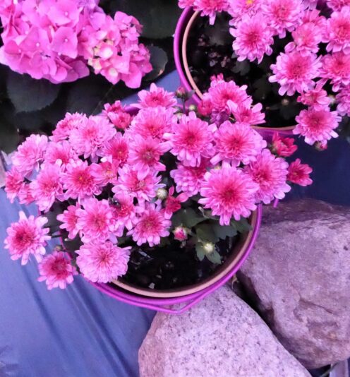 2022-07-28 ganzfrühmorgens (1)