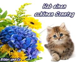 images (51)