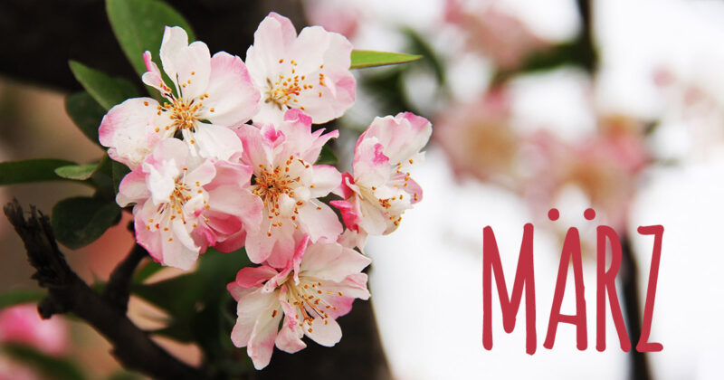 maerz_1200x630