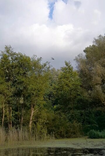 Screenshot_20240810_200926_Gallery