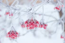 images (3)