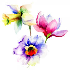 images (10)