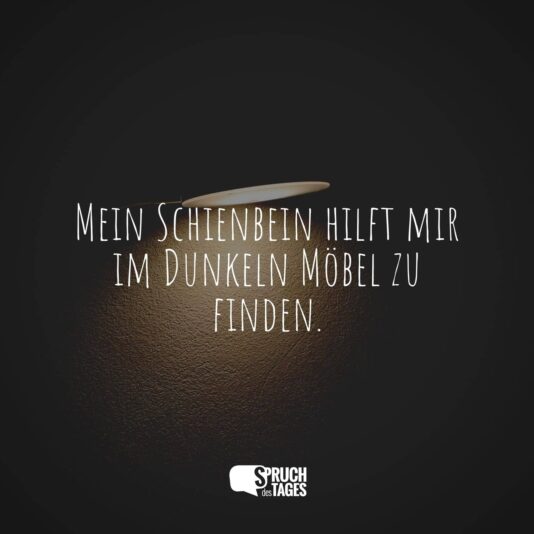 mein-schienbein-hilft-mir-im-dunkeln-moebel-zu-finden.jpg.pagespeed.ce.ZhfjK1eL2-