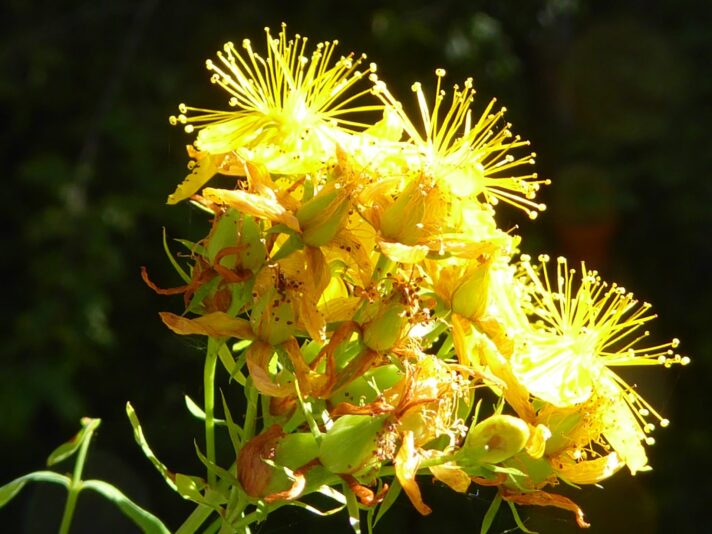 12.7.2022 Edi & Rolande (13)