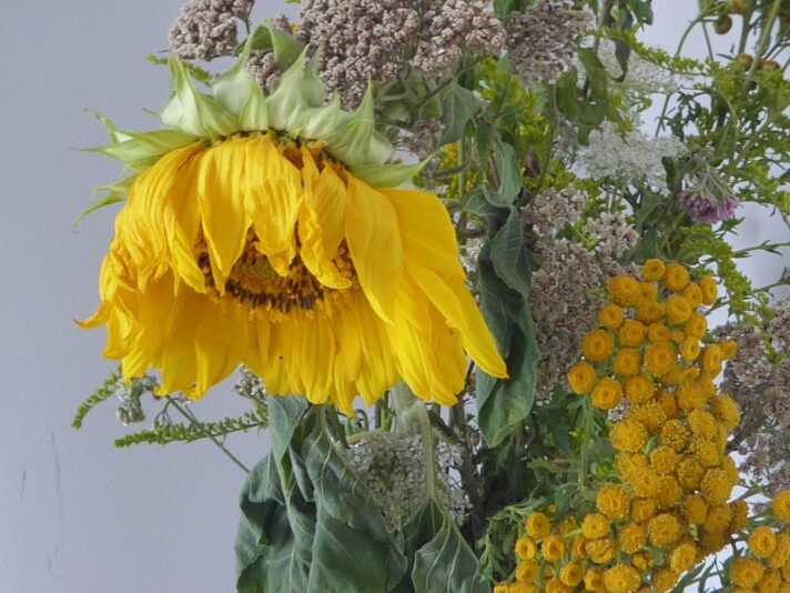 2023 ende juli bis 14 august (90)