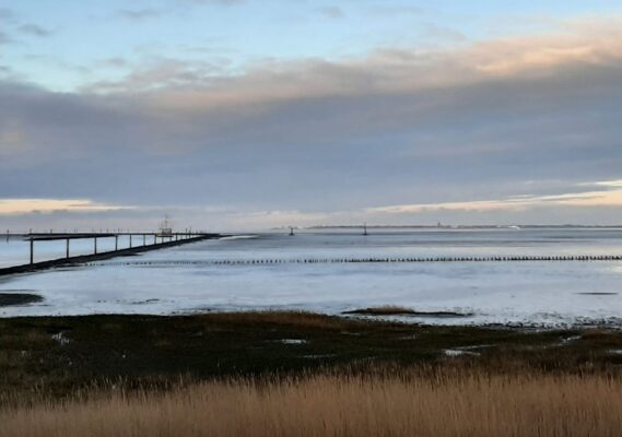 IMG-20210110-WA0001