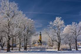 images (7)